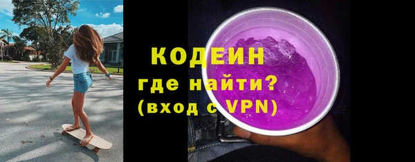 мдпв Ельня