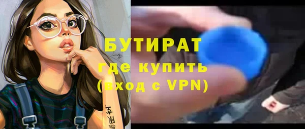 мдпв Ельня