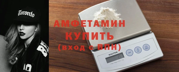 мдпв Ельня
