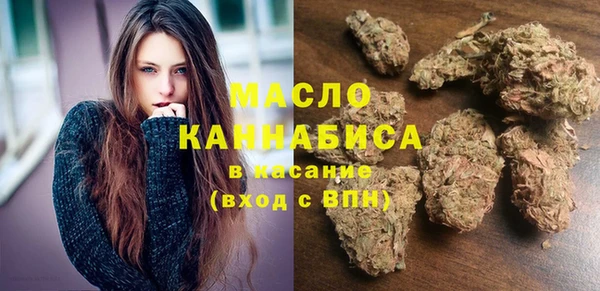 мдпв Ельня