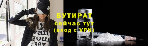 мдпв Ельня