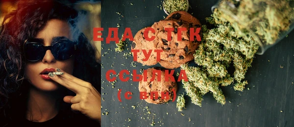 мдпв Ельня