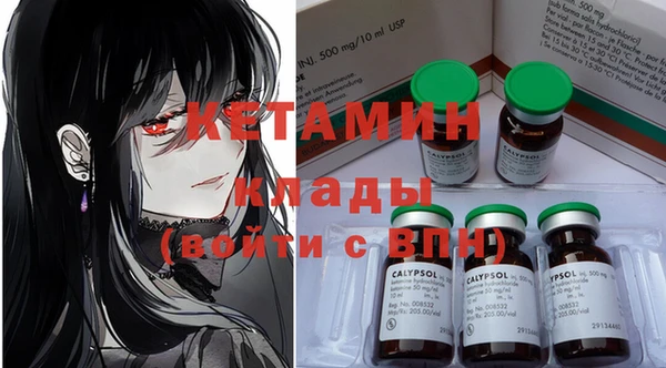 мдпв Ельня