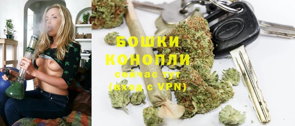 мдпв Ельня
