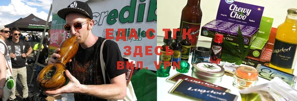 мдпв Ельня