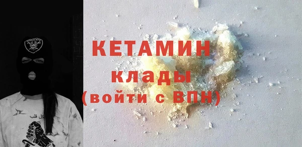 мдпв Ельня