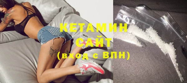 мдпв Ельня