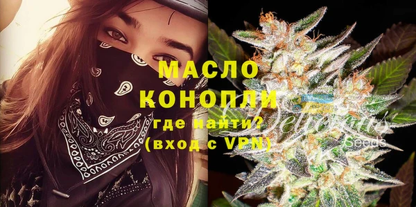мдпв Ельня