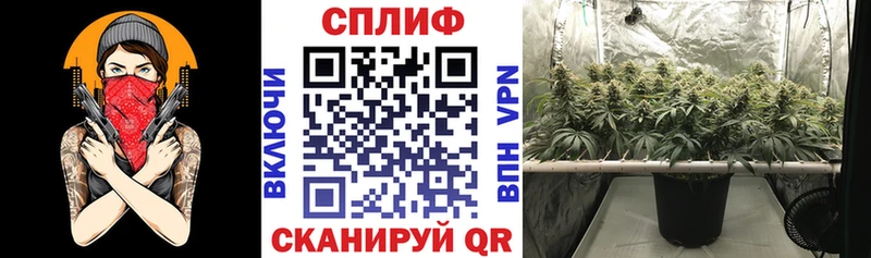 Купить закладки  Шахунья  Бошки марихуана ГИДРОПОН 